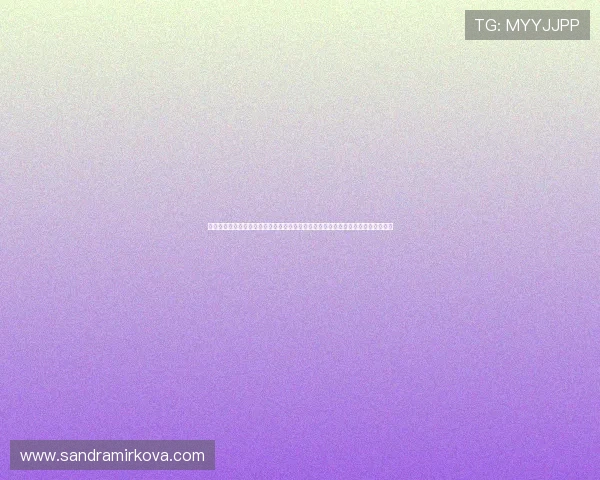 世界杯荷兰瑞典门将是谁，深入了解两队门将的背景、实力以及在比赛中的关键作用